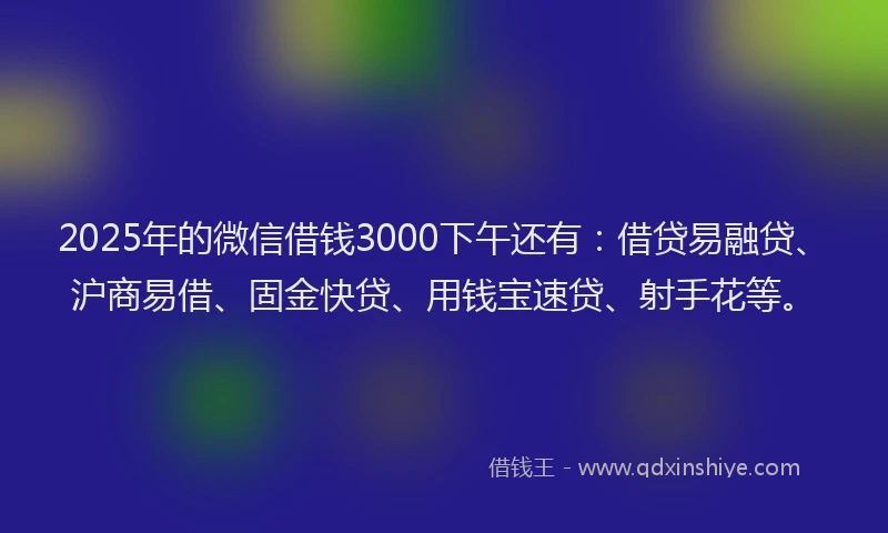2025年的微信借钱3000下午还有：借贷易融贷、沪商易借、固金快贷、用钱宝速贷、射手花等。