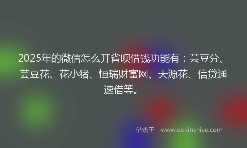 2025年的微信怎么开省呗借钱功能有：芸豆分、芸豆花、花小猪、恒瑞财富网、天源花、信贷通速借等。