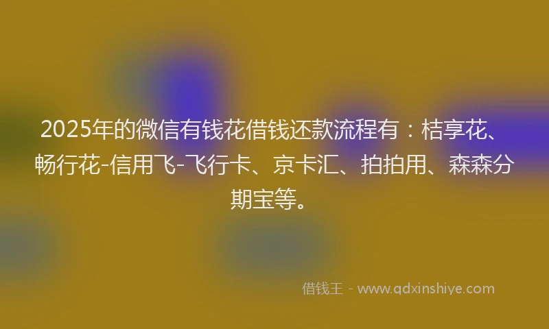 2025年的微信有钱花借钱还款流程有：桔享花、畅行花-信用飞-飞行卡、京卡汇、拍拍用、森森分期宝等。
