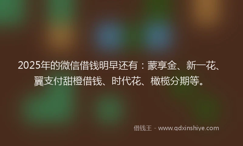2025年的微信借钱明早还有：蒙享金、新一花、翼支付甜橙借钱、时代花、橄榄分期等。