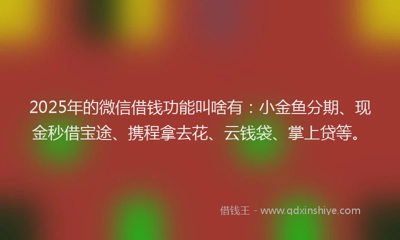 2025年的微信借钱功能叫啥有：小金鱼分期、现金秒借宝途、携程拿去花、云钱袋、掌上贷等。