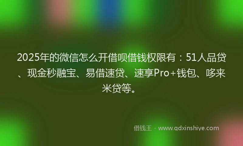 2025年的微信怎么开借呗借钱权限有：51人品贷、现金秒融宝、易借速贷、速享Pro+钱包、哆来米贷等。