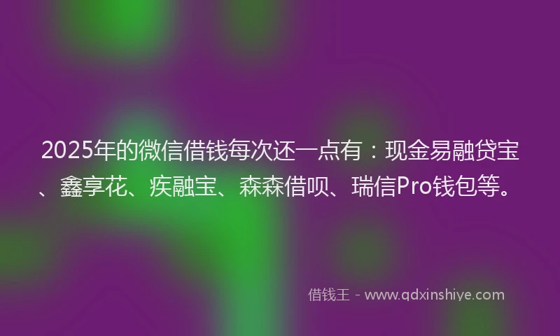 2025年的微信借钱每次还一点有：现金易融贷宝、鑫享花、疾融宝、森森借呗、瑞信Pro钱包等。