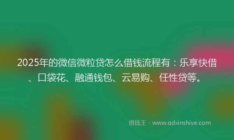 2025年的微信微粒贷怎么借钱流程有：乐享快借、口袋花、融通钱包、云易购、任性贷等。