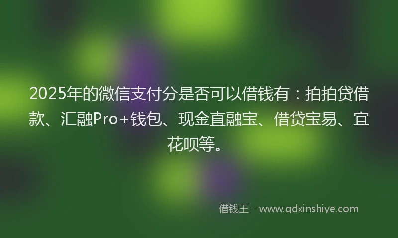 2025年的微信支付分是否可以借钱有：拍拍贷借款、汇融Pro+钱包、现金直融宝、借贷宝易、宜花呗等。