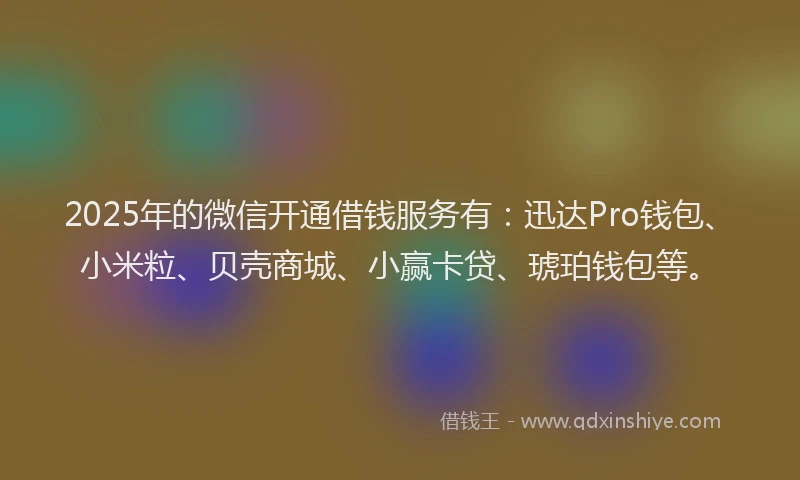 2025年的微信开通借钱服务有：迅达Pro钱包、小米粒、贝壳商城、小赢卡贷、琥珀钱包等。