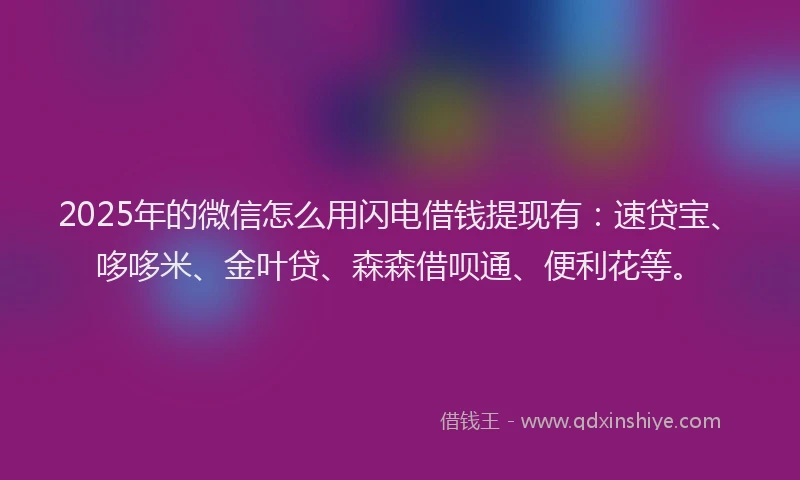 2025年的微信怎么用闪电借钱提现有：速贷宝、哆哆米、金叶贷、森森借呗通、便利花等。