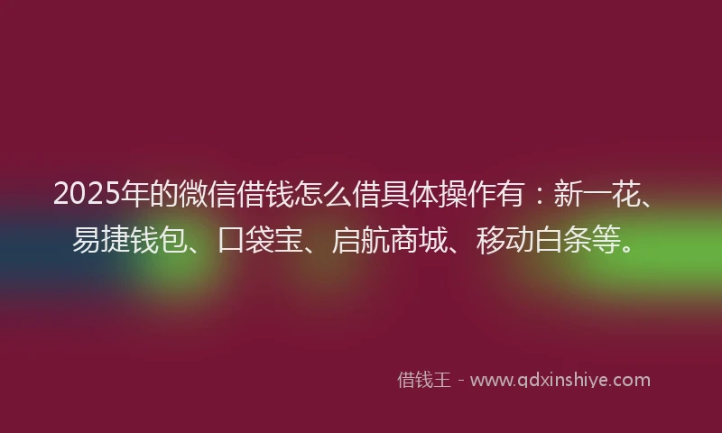 2025年的微信借钱怎么借具体操作有：新一花、易捷钱包、口袋宝、启航商城、移动白条等。