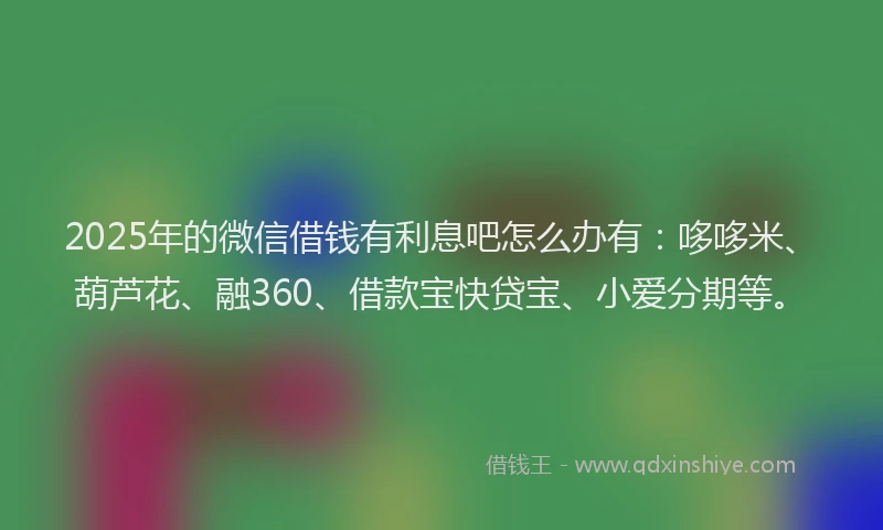 2025年的微信借钱有利息吧怎么办有：哆哆米、葫芦花、融360、借款宝快贷宝、小爱分期等。