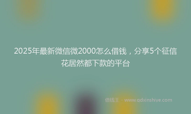 2025年最新微信微2000怎么借钱，分享5个征信花居然都下款的平台
