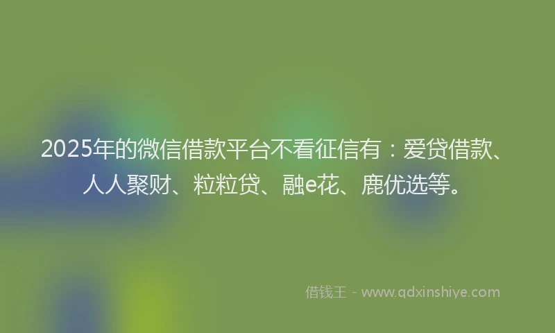 2025年的微信借款平台不看征信有：爱贷借款、人人聚财、粒粒贷、融e花、鹿优选等。