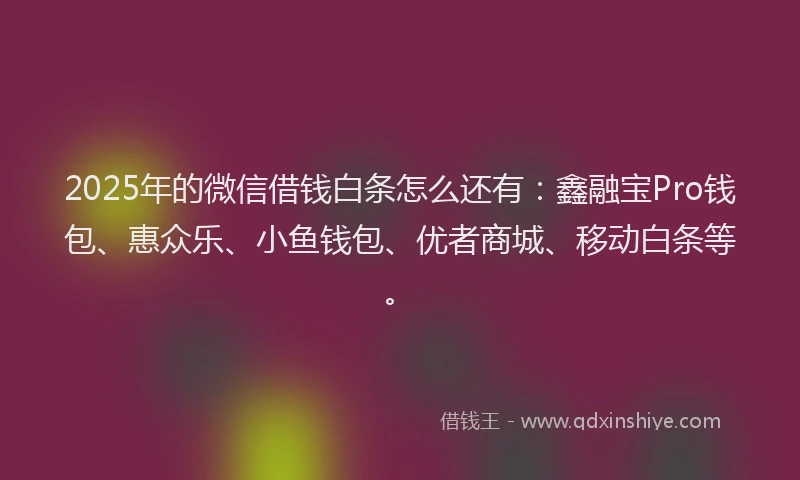 2025年的微信借钱白条怎么还有：鑫融宝Pro钱包、惠众乐、小鱼钱包、优者商城、移动白条等。