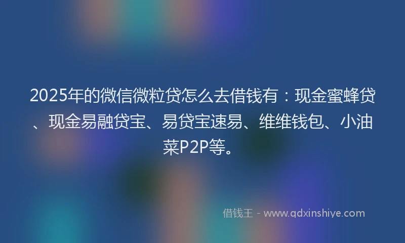 2025年的微信微粒贷怎么去借钱有：现金蜜蜂贷、现金易融贷宝、易贷宝速易、维维钱包、小油菜P2P等。