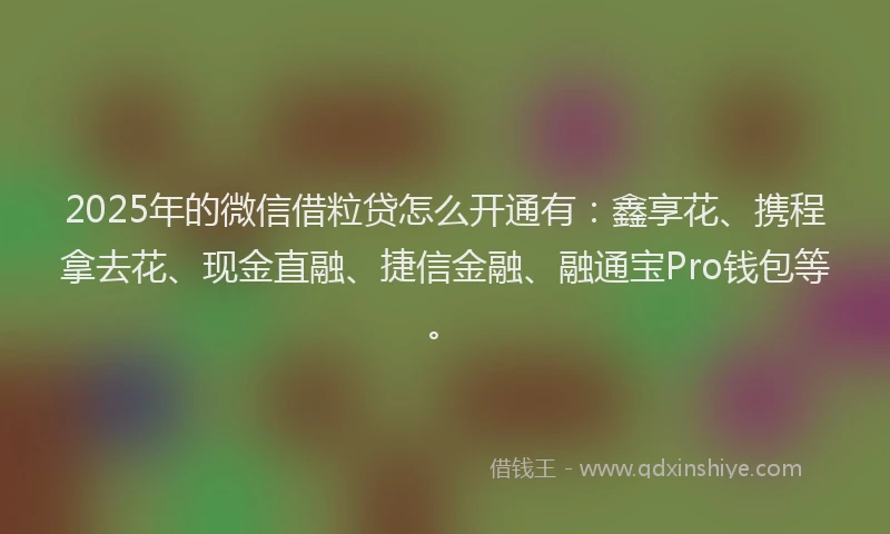 2025年的微信借粒贷怎么开通有：鑫享花、携程拿去花、现金直融、捷信金融、融通宝Pro钱包等。