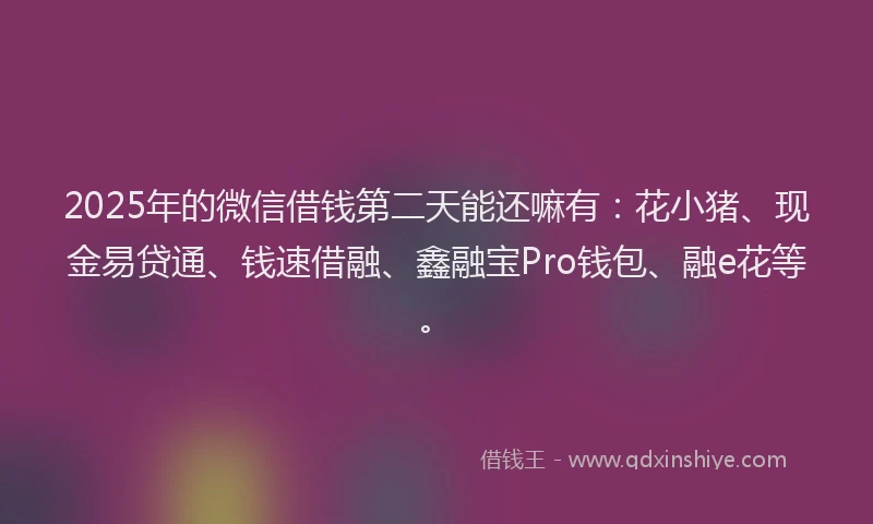 2025年的微信借钱第二天能还嘛有:花小猪、现金易贷通、钱速借融、鑫融宝Pro钱包、融e花等。