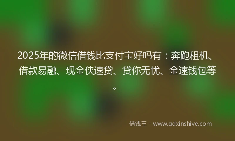 2025年的微信借钱比支付宝好吗有：奔跑租机、借款易融、现金侠速贷、贷你无忧、金速钱包等。