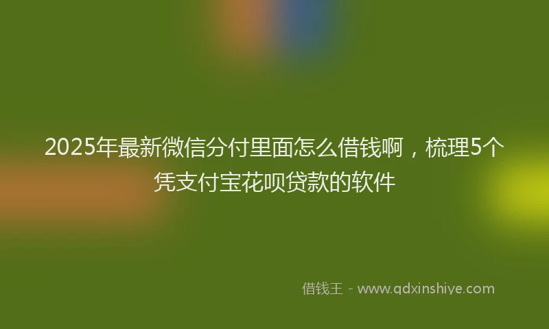 2025年最新微信分付里面怎么借钱啊，梳理5个凭支付宝花呗贷款的软件
