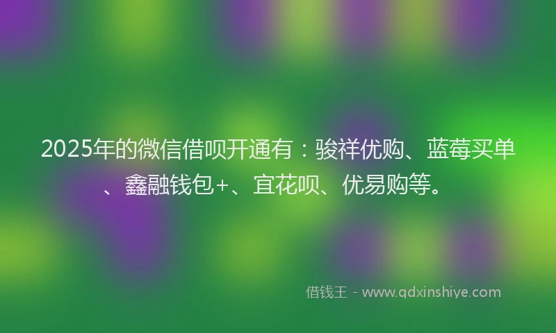 2025年的微信借呗开通有：骏祥优购、蓝莓买单、鑫融钱包+、宜花呗、优易购等。