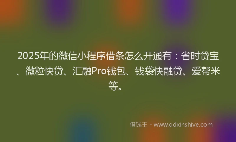 2025年的微信小程序借条怎么开通有：省时贷宝、微粒快贷、汇融Pro钱包、钱袋快融贷、爱帮米等。