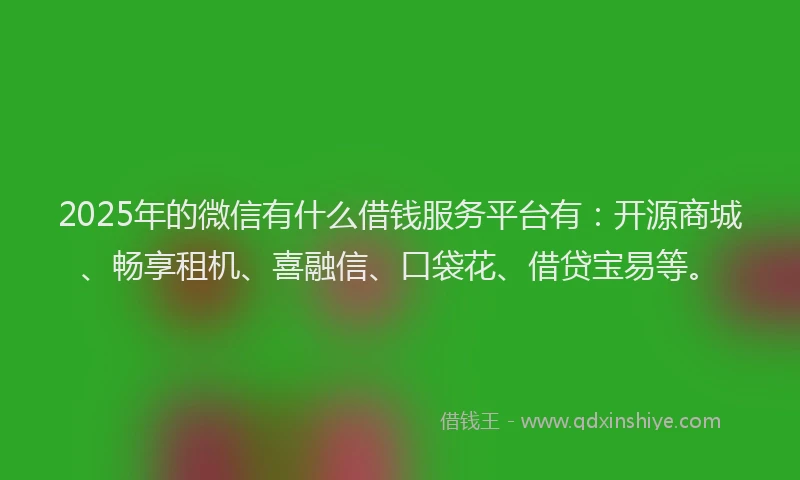 2025年的微信有什么借钱服务平台有：开源商城、畅享租机、喜融信、口袋花、借贷宝易等。