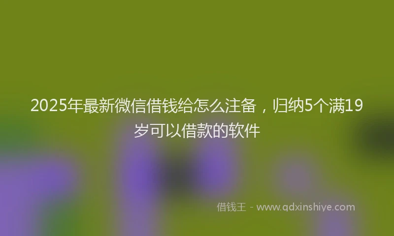 2025年最新微信借钱给怎么注备，归纳5个满19岁可以借款的软件