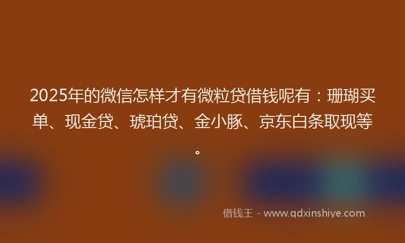 2025年的微信怎样才有微粒贷借钱呢有：珊瑚买单、现金贷、琥珀贷、金小豚、京东白条取现等。
