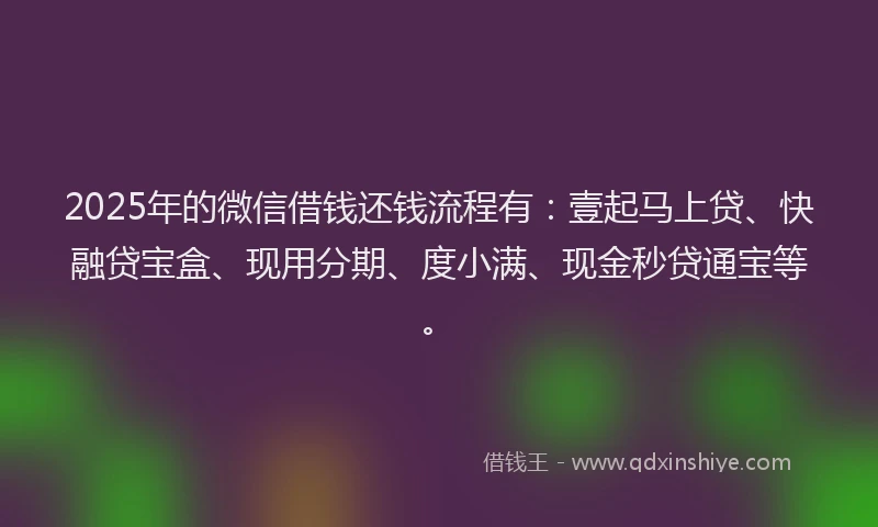 2025年的微信借钱还钱流程有：壹起马上贷、快融贷宝盒、现用分期、度小满、现金秒贷通宝等。