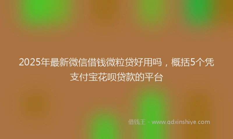 2025年最新微信借钱微粒贷好用吗，概括5个凭支付宝花呗贷款的平台