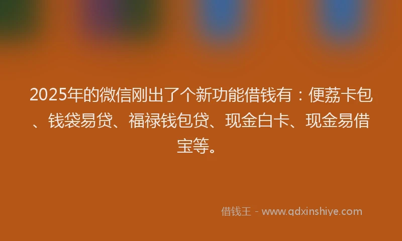 2025年的微信刚出了个新功能借钱有：便荔卡包、钱袋易贷、福禄钱包贷、现金白卡、现金易借宝等。