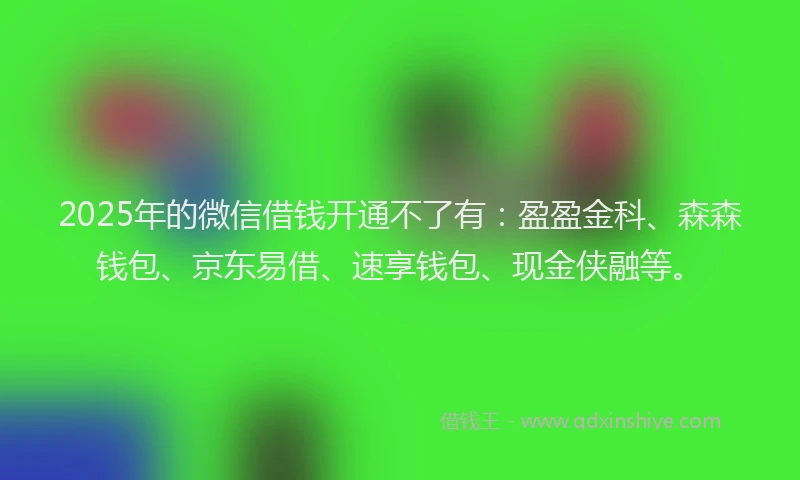 2025年的微信借钱开通不了有:盈盈金科、森森钱包、京东易借、速享钱包、现金侠融等。