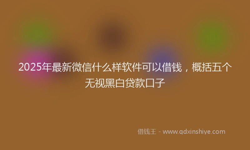 2025年最新微信什么样软件可以借钱，概括五个无视黑白贷款口子