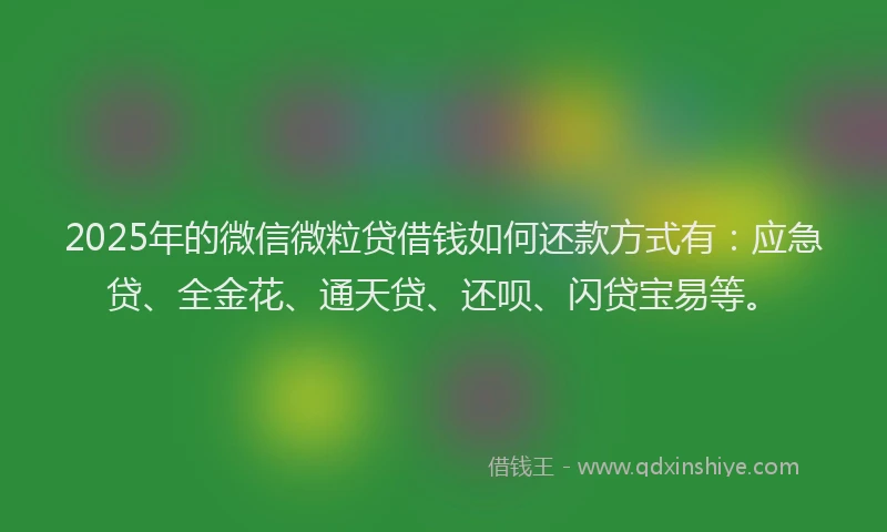 2025年的微信微粒贷借钱如何还款方式有：应急贷、全金花、通天贷、还呗、闪贷宝易等。