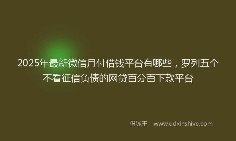 2025年最新微信月付借钱平台有哪些，罗列五个不看征信负债的网贷百分百下款平台