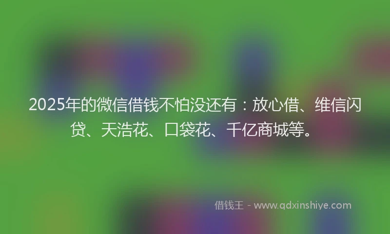 2025年的微信借钱不怕没还有：放心借、维信闪贷、天浩花、口袋花、千亿商城等。