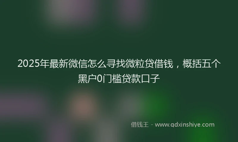 2025年最新微信怎么寻找微粒贷借钱，概括五个黑户0门槛贷款口子