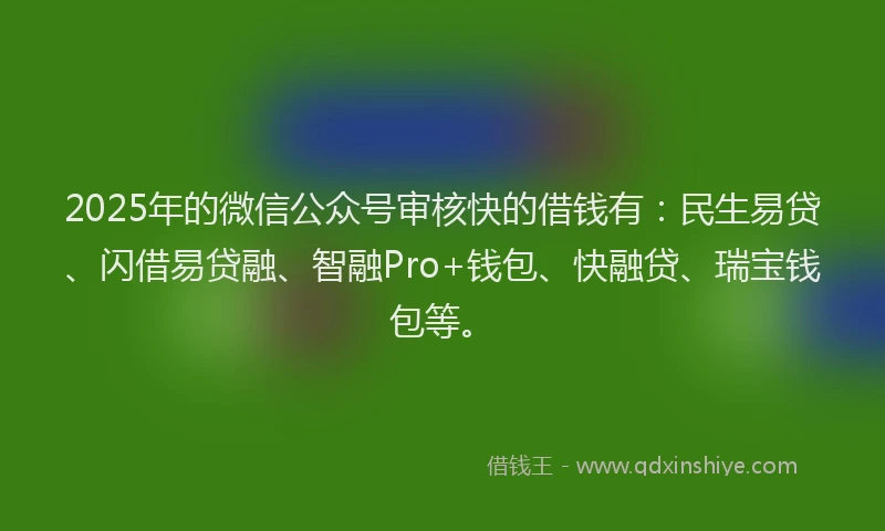 2025年的微信公众号审核快的借钱有：民生易贷、闪借易贷融、智融Pro+钱包、快融贷、瑞宝钱包等。