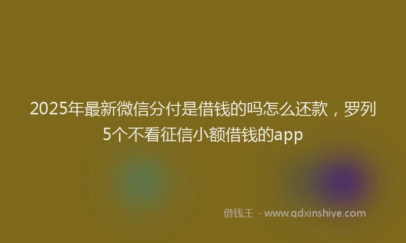 2025年最新微信分付是借钱的吗怎么还款，罗列5个不看征信小额借钱的app