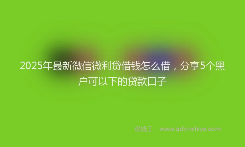 2025年最新微信微利贷借钱怎么借，分享5个黑户可以下的贷款口子