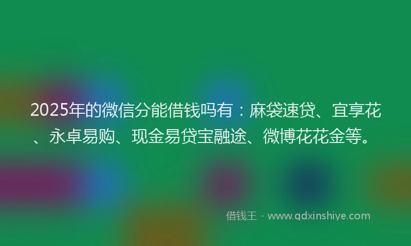 2025年的微信分能借钱吗有：麻袋速贷、宜享花、永卓易购、现金易贷宝融途、微博花花金等。