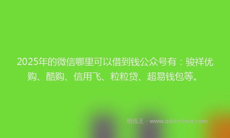 2025年的微信哪里可以借到钱公众号有：骏祥优购、酷购、信用飞、粒粒贷、超易钱包等。