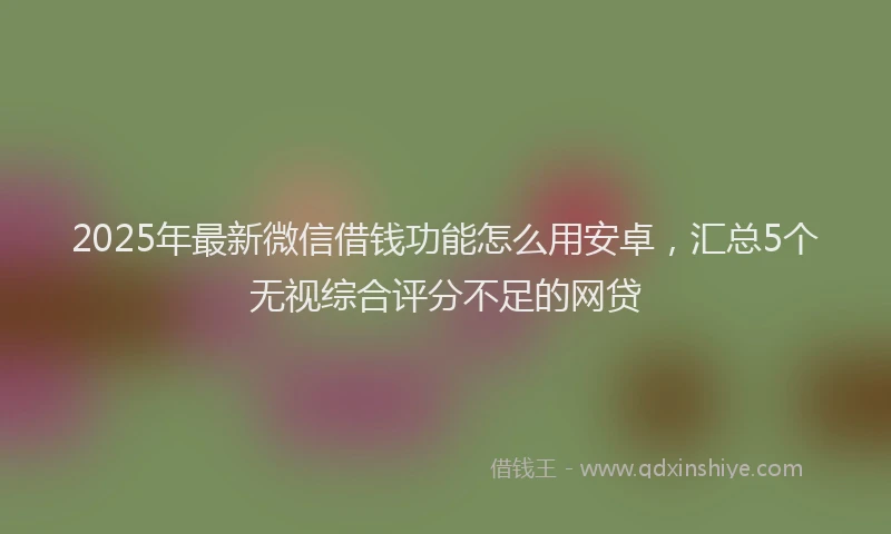 2025年最新微信借钱功能怎么用安卓，汇总5个无视综合评分不足的网贷
