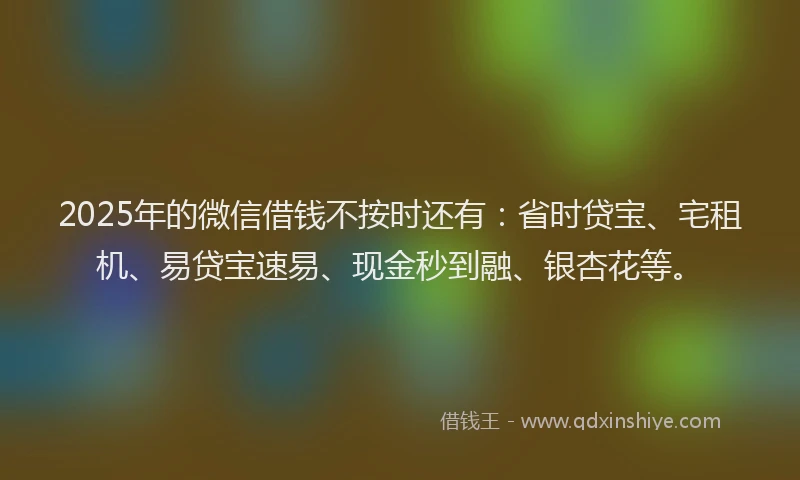 2025年的微信借钱不按时还有：省时贷宝、宅租机、易贷宝速易、现金秒到融、银杏花等。