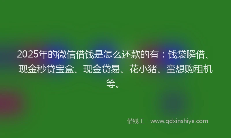 2025年的微信借钱是怎么还款的有：钱袋瞬借、现金秒贷宝盒、现金贷易、花小猪、蛮想购租机等。