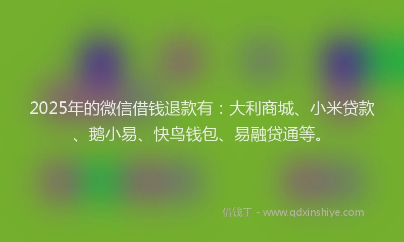 2025年的微信借钱退款有：大利商城、小米贷款、鹅小易、快鸟钱包、易融贷通等。