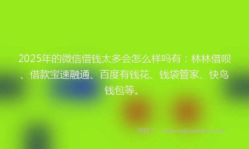 2025年的微信借钱太多会怎么样吗有：林林借呗、借款宝速融通、百度有钱花、钱袋管家、快鸟钱包等。