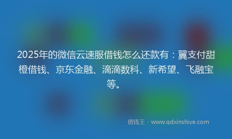 2025年的微信云速服借钱怎么还款有：翼支付甜橙借钱、京东金融、滴滴数科、新希望、飞融宝等。