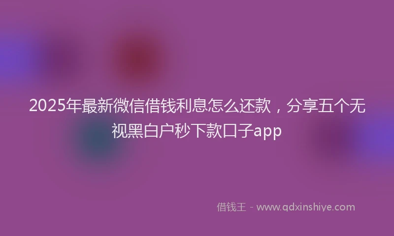 2025年最新微信借钱利息怎么还款，分享五个无视黑白户秒下款口子app