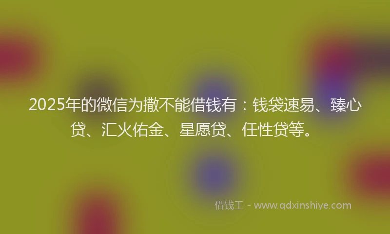 2025年的微信为撒不能借钱有：钱袋速易、臻心贷、汇火佑金、星愿贷、任性贷等。