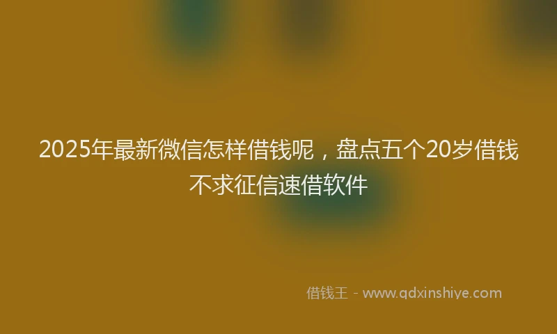 2025年最新微信怎样借钱呢，盘点五个20岁借钱不求征信速借软件
