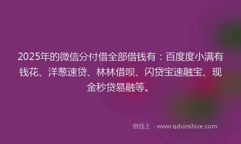 2025年的微信分付借全部借钱有：百度度小满有钱花、洋葱速贷、林林借呗、闪贷宝速融宝、现金秒贷易融等。